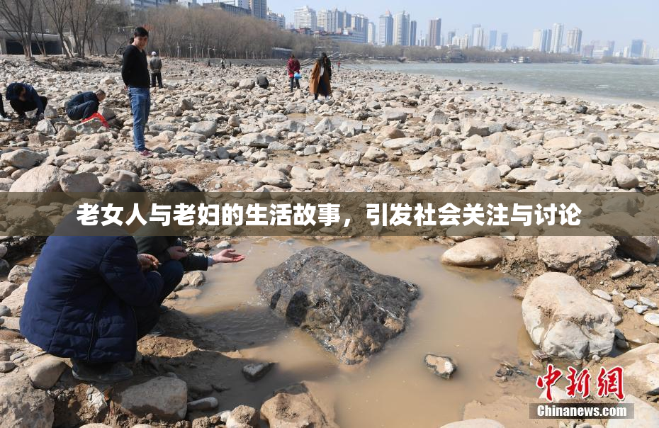 老女人与老妇的生活故事，引发社会关注与讨论