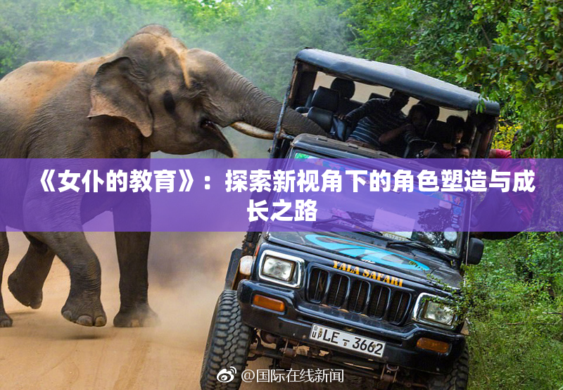 《女仆的教育》：探索新视角下的角色塑造与成长之路