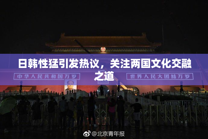 日韩性猛引发热议，关注两国文化交融之道