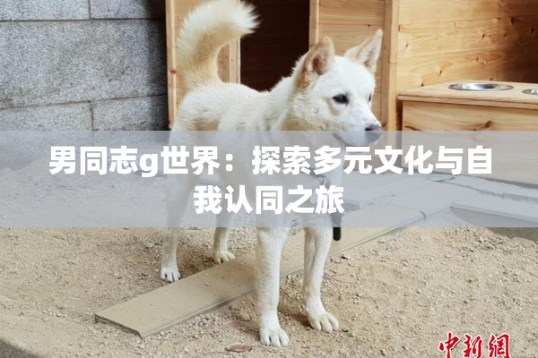 男同志g世界：探索多元文化与自我认同之旅