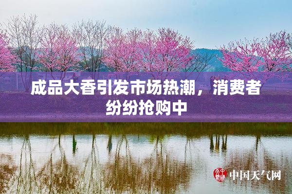 成品大香引发市场热潮，消费者纷纷抢购中