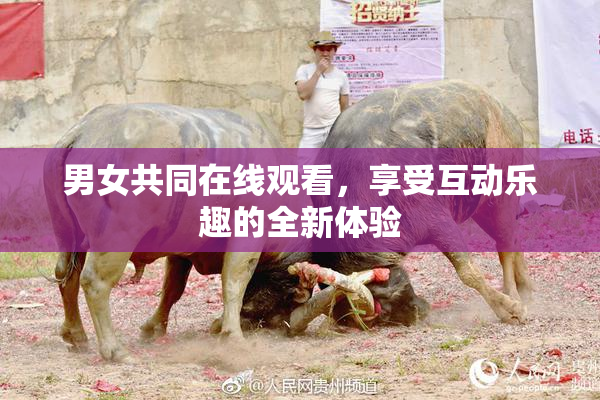 男女共同在线观看，享受互动乐趣的全新体验