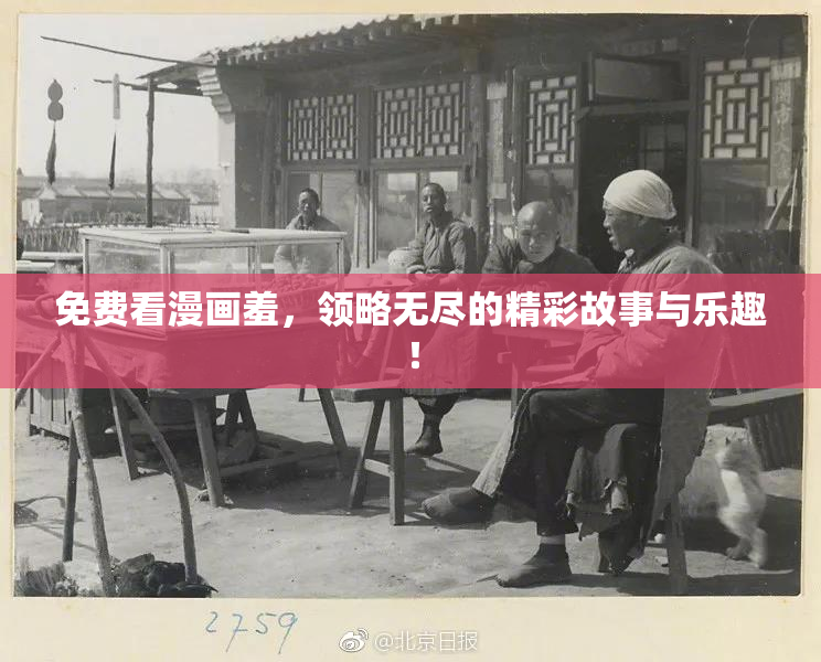 免费看漫画羞，领略无尽的精彩故事与乐趣！