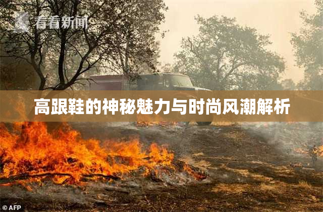 高跟鞋的神秘魅力与时尚风潮解析