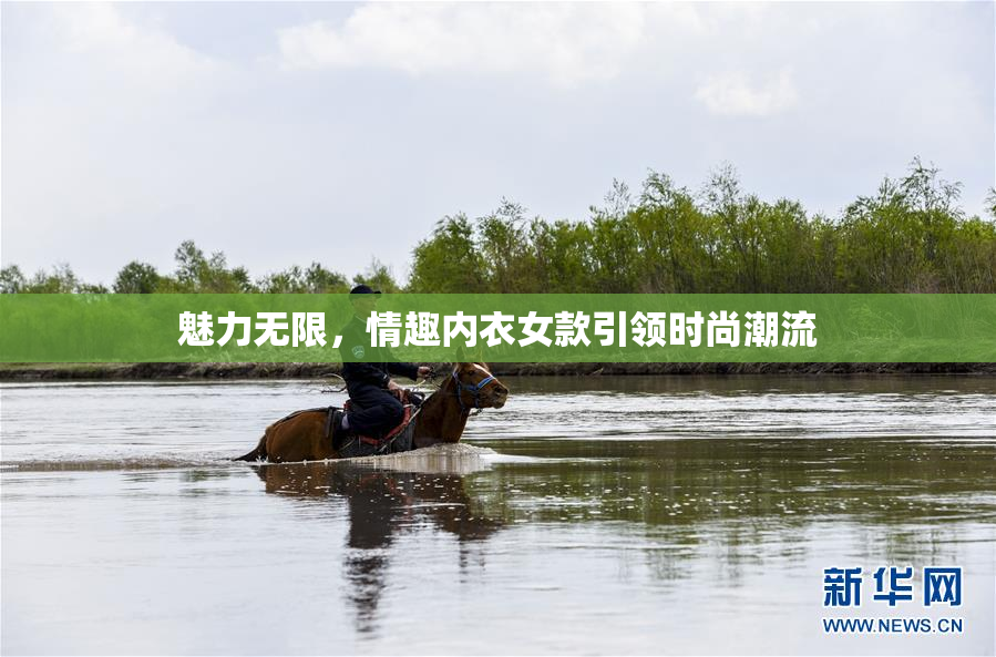 魅力无限，情趣内衣女款引领时尚潮流