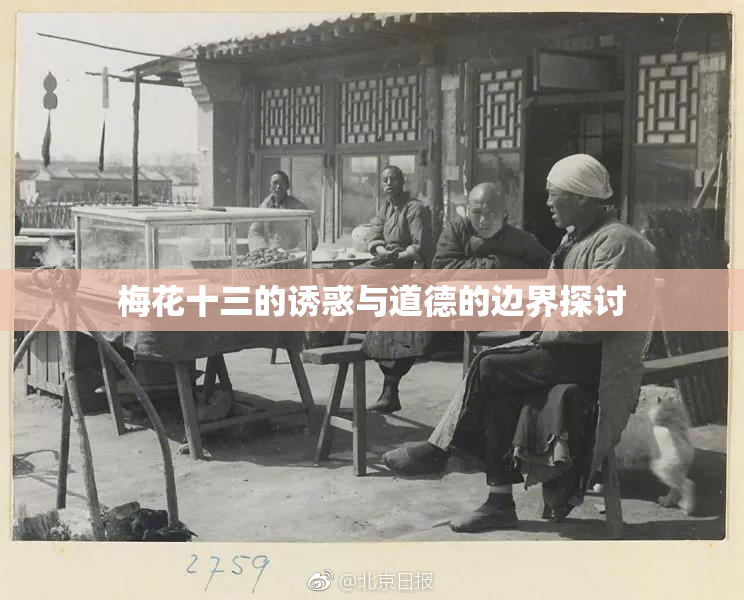 梅花十三的诱惑与道德的边界探讨
