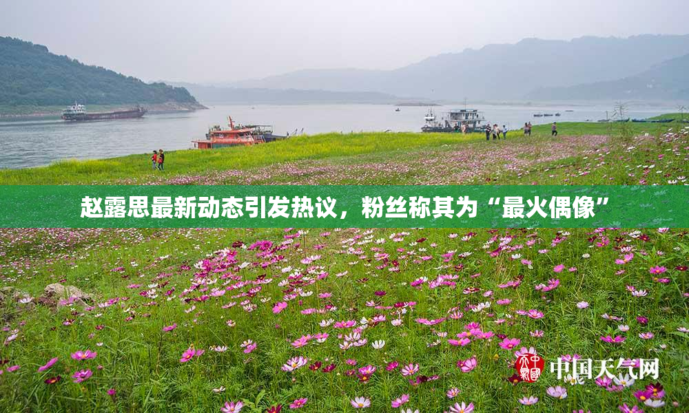 赵露思最新动态引发热议，粉丝称其为“最火偶像”