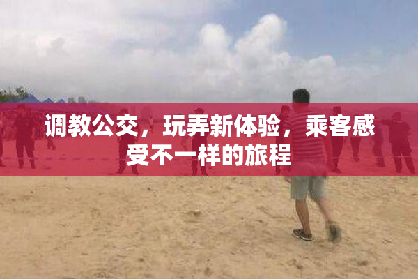 调教公交，玩弄新体验，乘客感受不一样的旅程