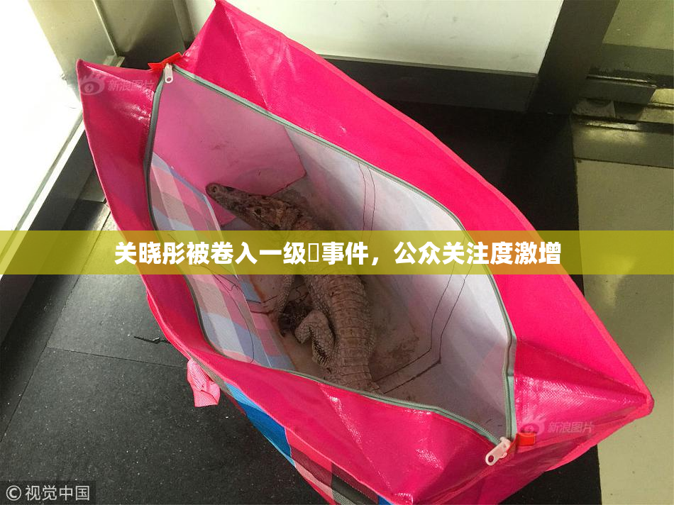 关晓彤被卷入一级婬事件，公众关注度激增