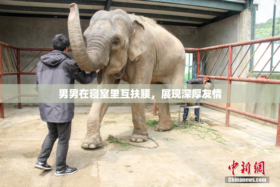 男男在寝室里互扶腰，展现深厚友情