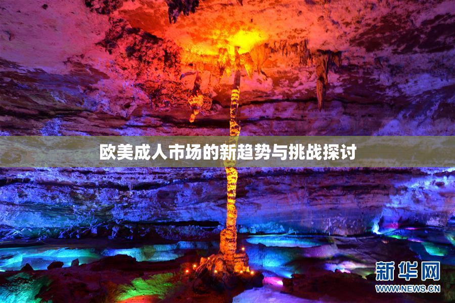 欧美成人市场的新趋势与挑战探讨