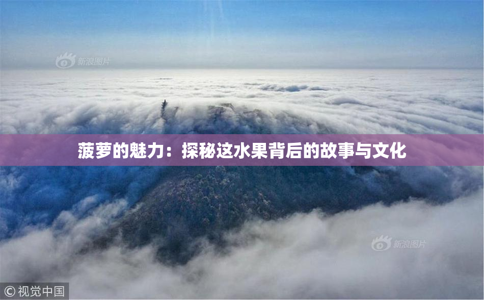 菠萝的魅力：探秘这水果背后的故事与文化