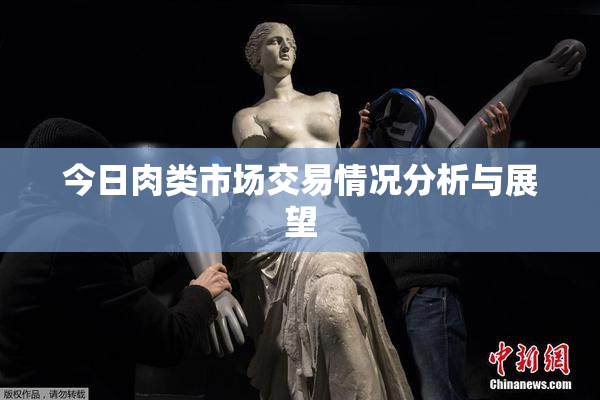 今日肉类市场交易情况分析与展望