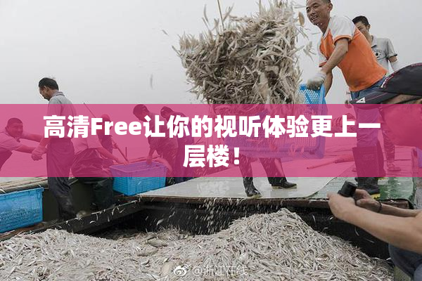 高清Free让你的视听体验更上一层楼！
