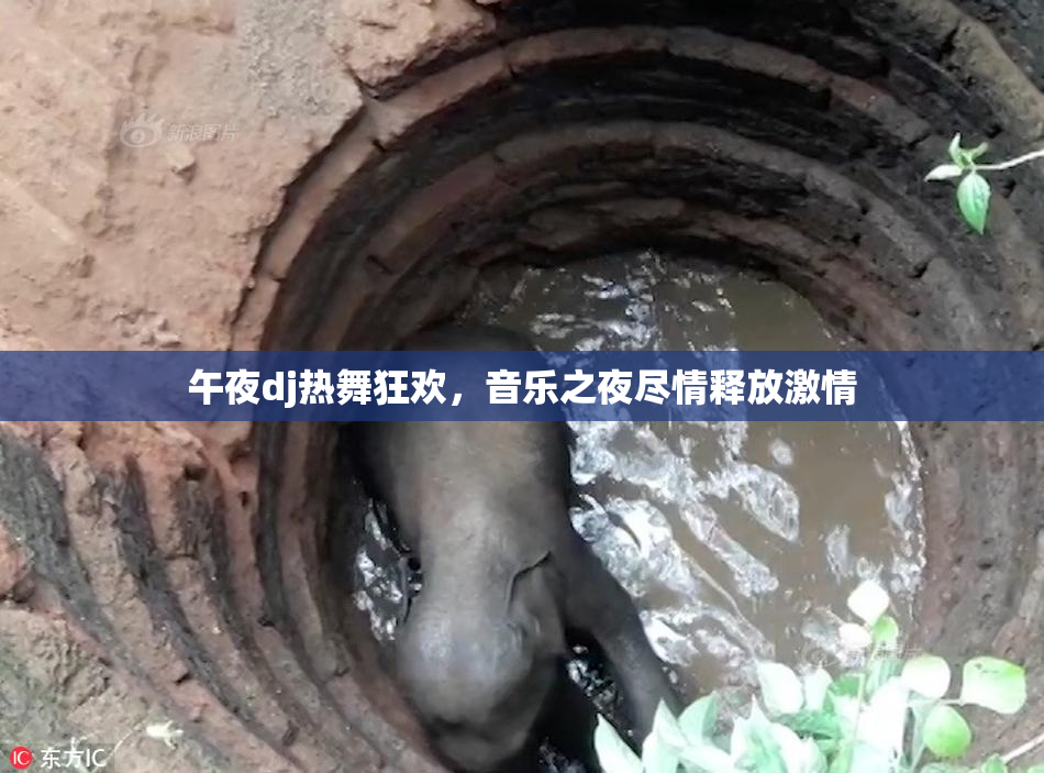 午夜dj热舞狂欢，音乐之夜尽情释放激情