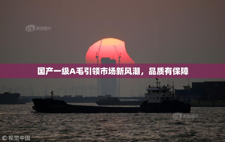 国产一级A毛引领市场新风潮，品质有保障