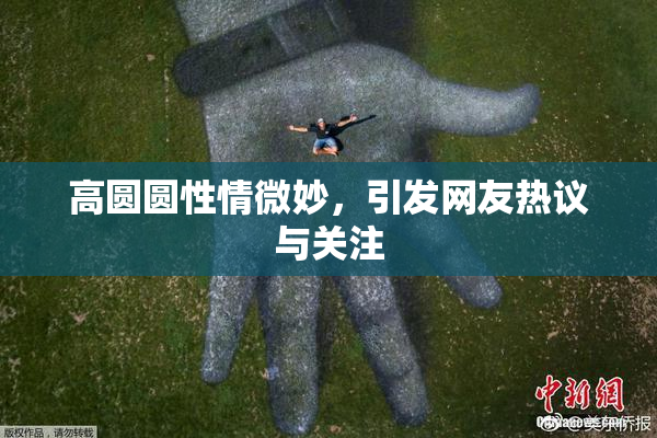 高圆圆性情微妙，引发网友热议与关注