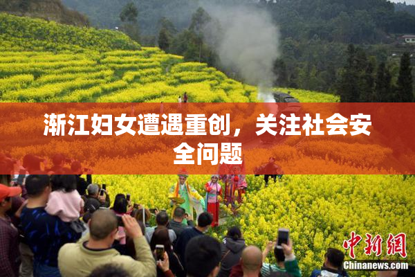 渐江妇女遭遇重创，关注社会安全问题