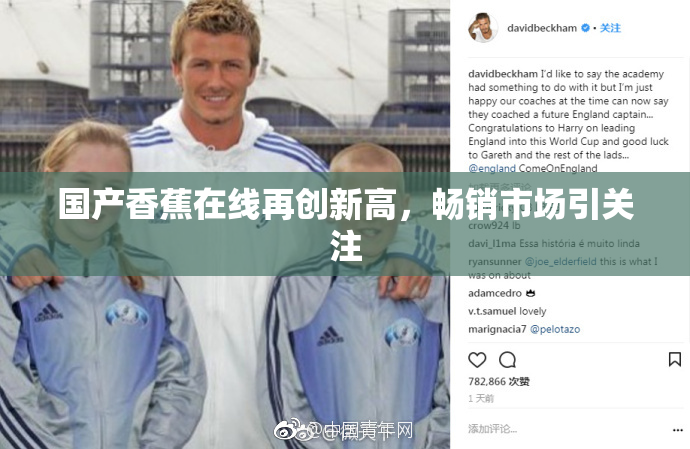 国产香蕉在线再创新高，畅销市场引关注