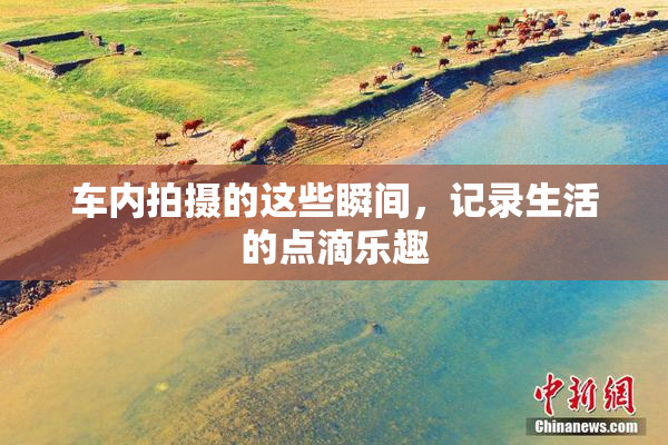 车内拍摄的这些瞬间，记录生活的点滴乐趣