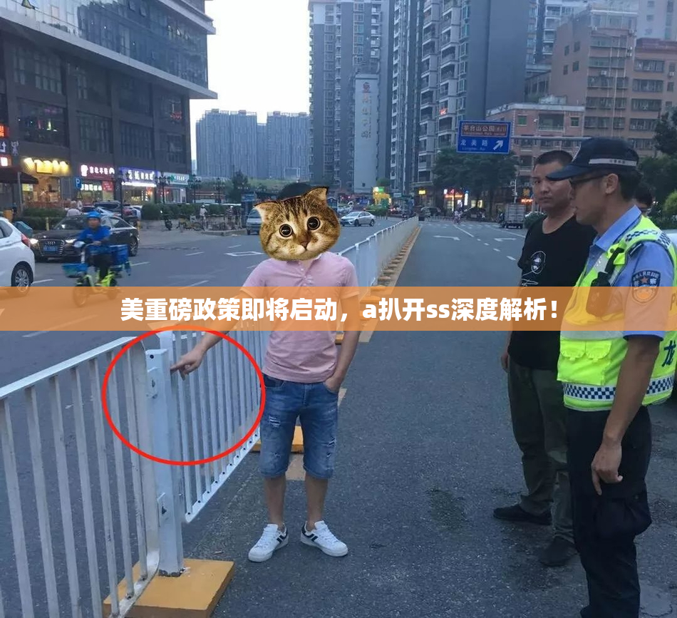 美重磅政策即将启动，a扒开ss深度解析！