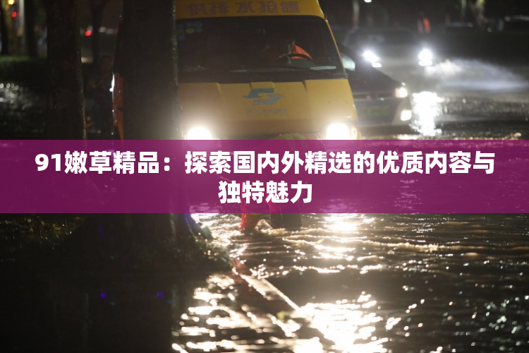 91嫩草精品：探索国内外精选的优质内容与独特魅力