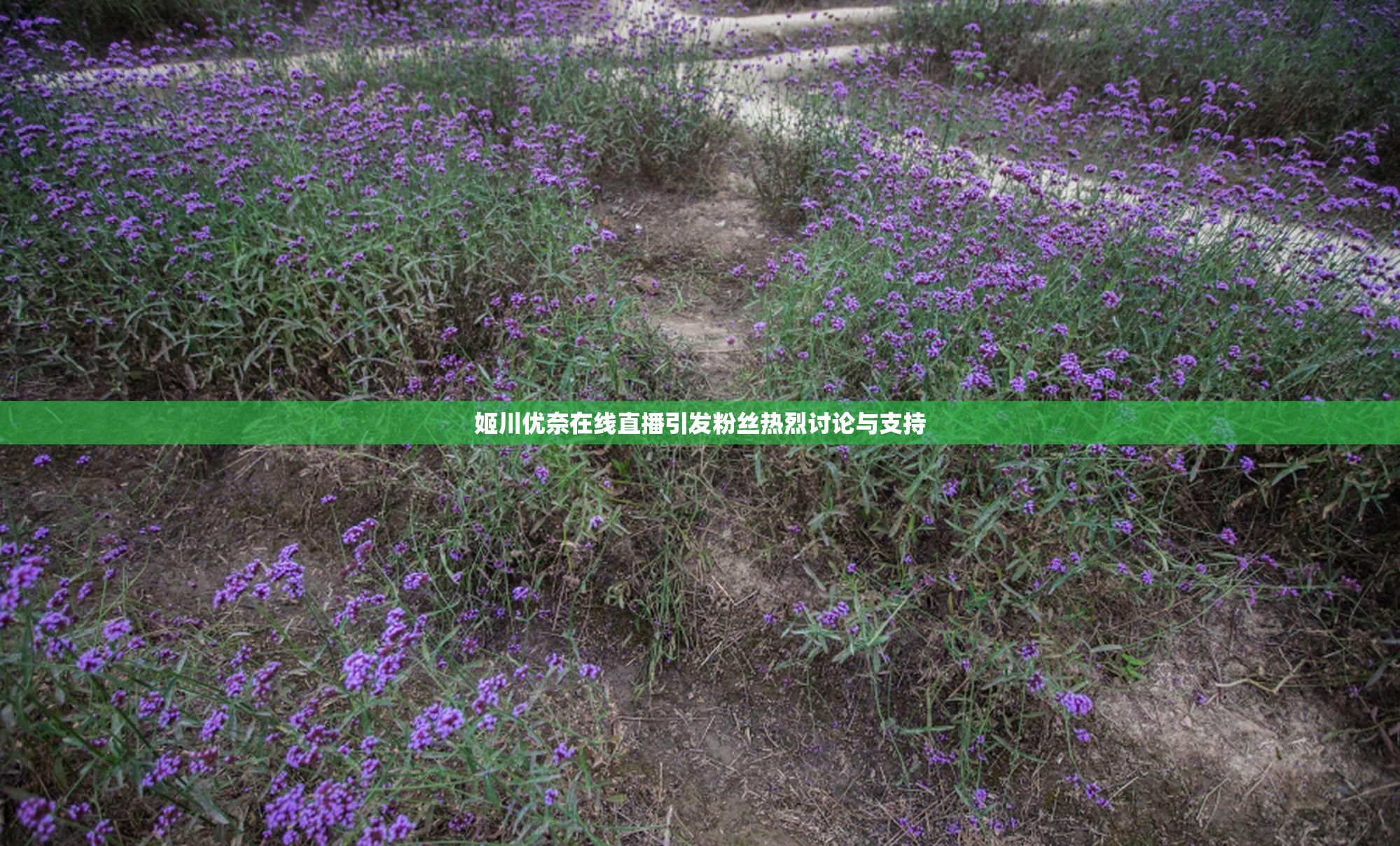 姬川优奈在线直播引发粉丝热烈讨论与支持