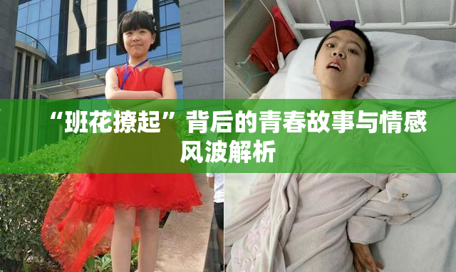 “班花撩起”背后的青春故事与情感风波解析