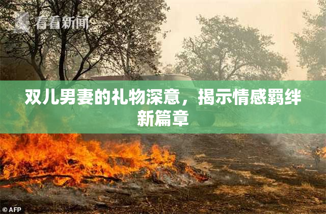 双儿男妻的礼物深意，揭示情感羁绊新篇章