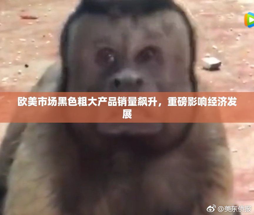 欧美市场黑色粗大产品销量飙升，重磅影响经济发展