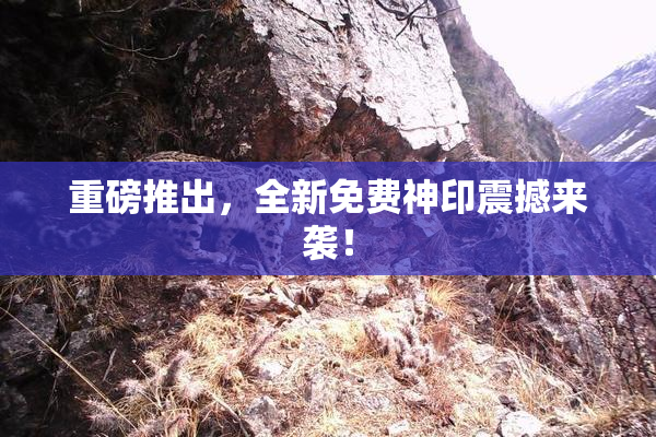 重磅推出，全新免费神印震撼来袭！