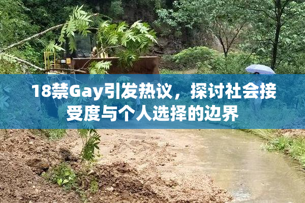 18禁Gay引发热议，探讨社会接受度与个人选择的边界