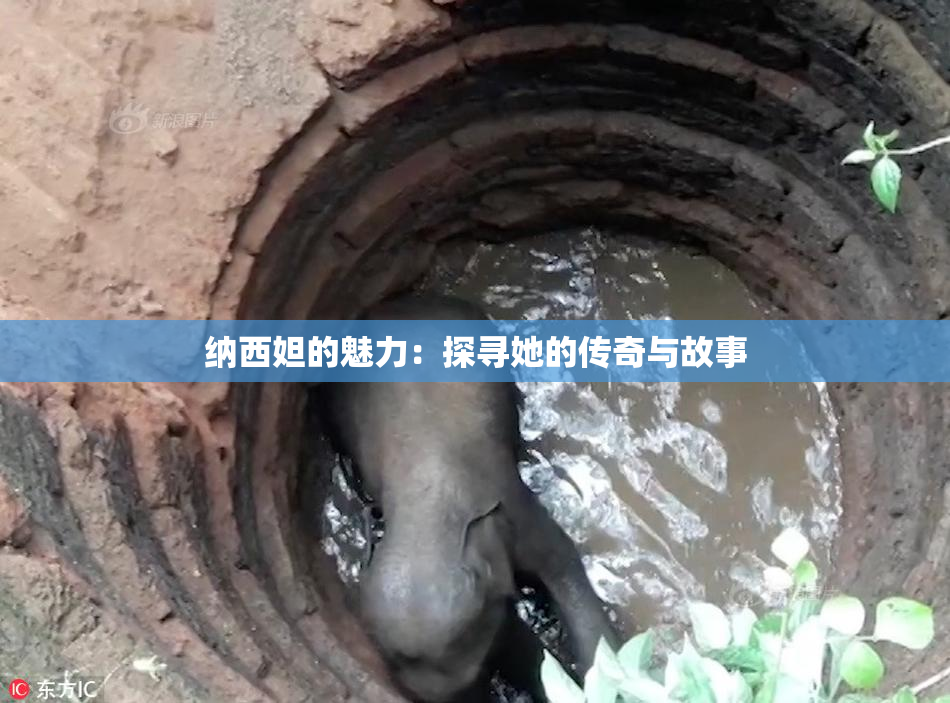 纳西妲的魅力：探寻她的传奇与故事