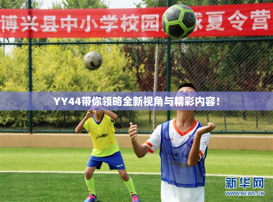 YY44带你领略全新视角与精彩内容！