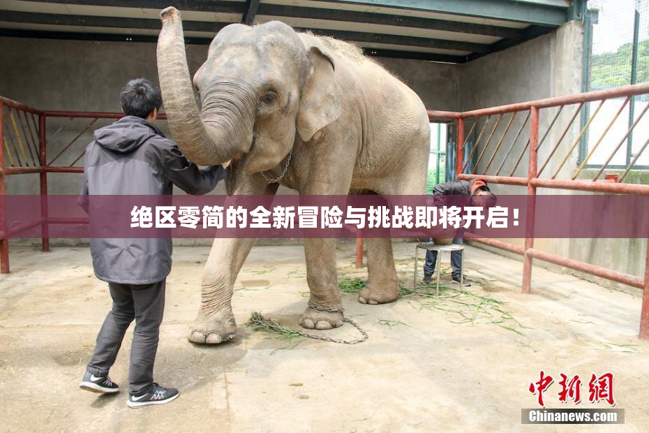 绝区零简的全新冒险与挑战即将开启！