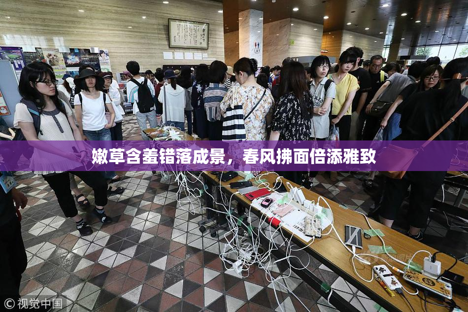 嫩草含羞错落成景，春风拂面倍添雅致