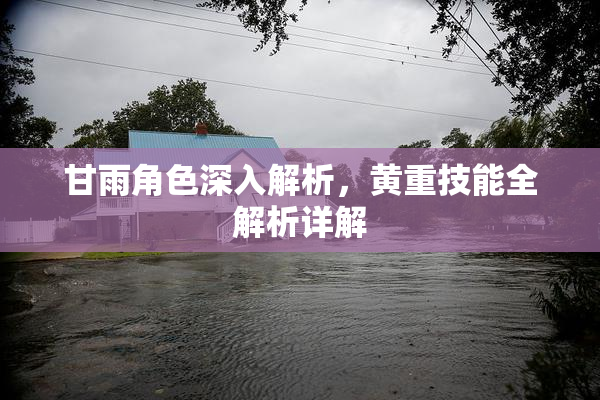 甘雨角色深入解析，黄重技能全解析详解