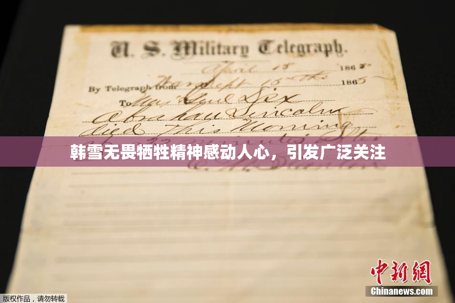 韩雪无畏牺牲精神感动人心，引发广泛关注