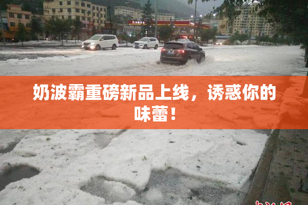 奶波霸重磅新品上线，诱惑你的味蕾！