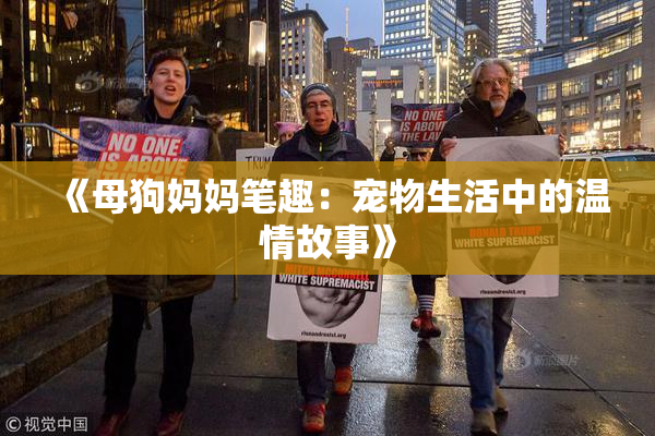 《母狗妈妈笔趣：宠物生活中的温情故事》