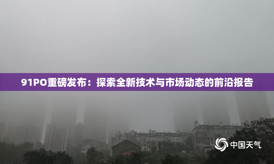 91PO重磅发布：探索全新技术与市场动态的前沿报告