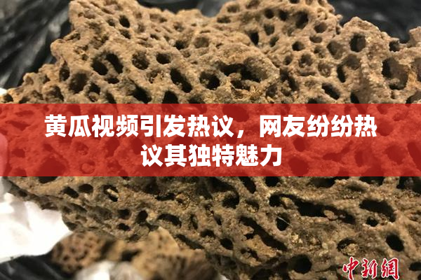 黄瓜视频引发热议，网友纷纷热议其独特魅力