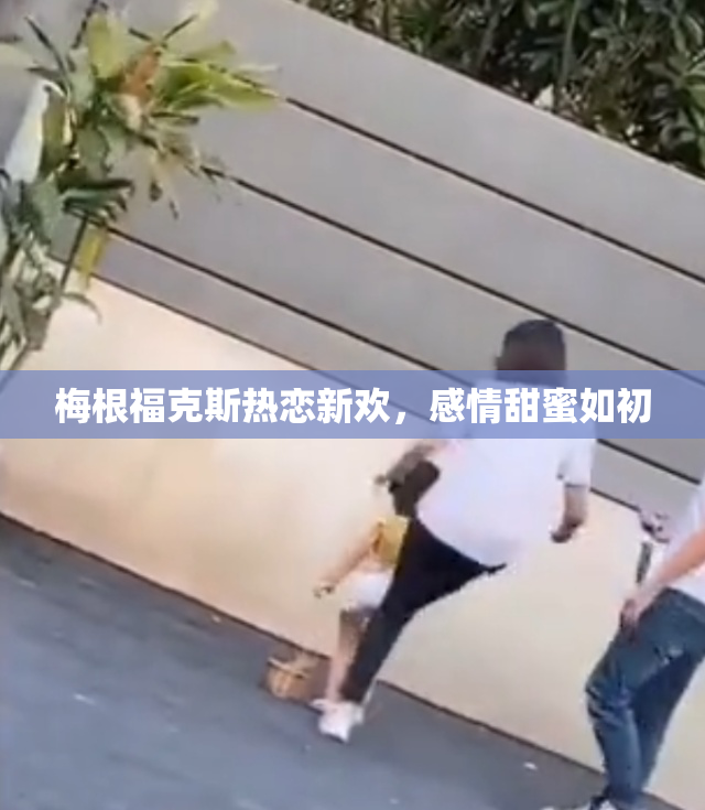 梅根福克斯热恋新欢，感情甜蜜如初