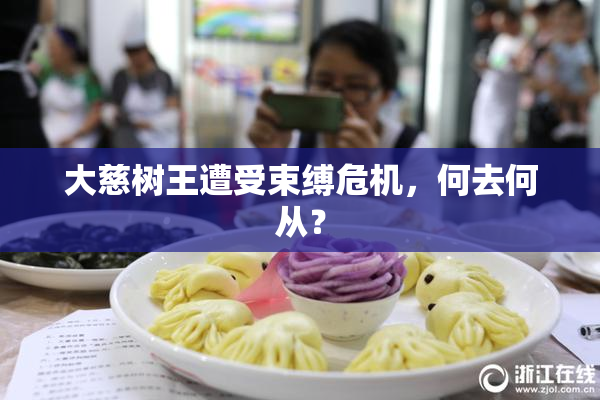 大慈树王遭受束缚危机，何去何从？