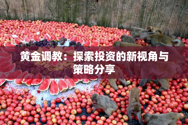 黄金调教：探索投资的新视角与策略分享