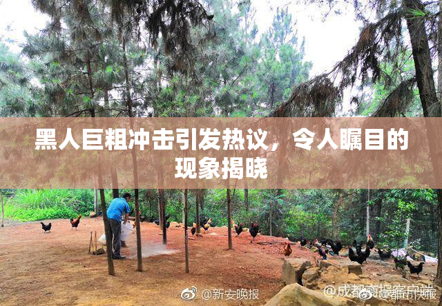 黑人巨粗冲击引发热议，令人瞩目的现象揭晓