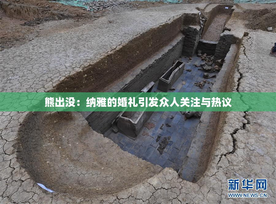 熊出没：纳雅的婚礼引发众人关注与热议