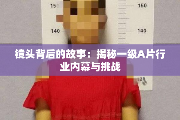 镜头背后的故事：揭秘一级A片行业内幕与挑战
