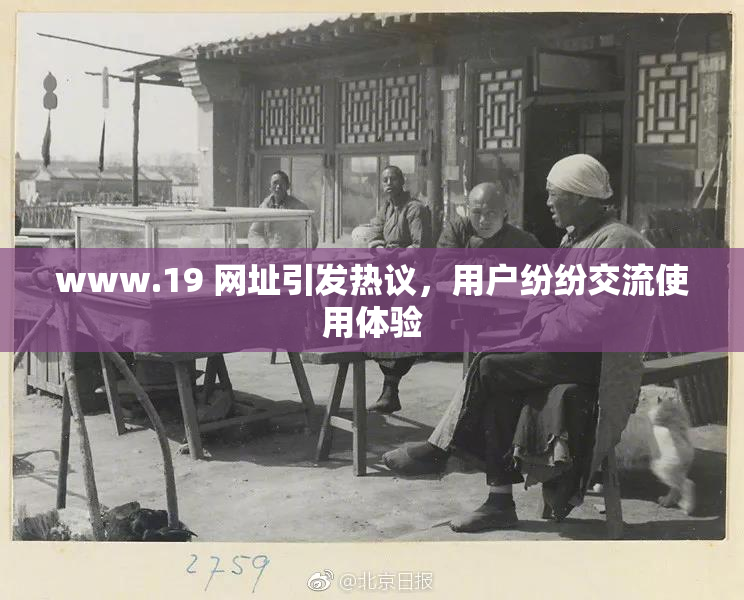 www.19 网址引发热议，用户纷纷交流使用体验