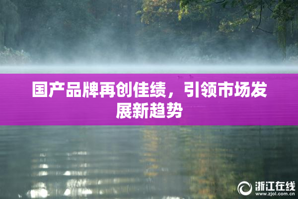 国产品牌再创佳绩，引领市场发展新趋势